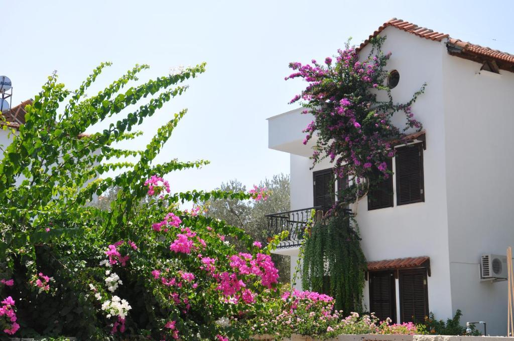 Papermoon Hotel & Apartments คาช ภายนอก รูปภาพ